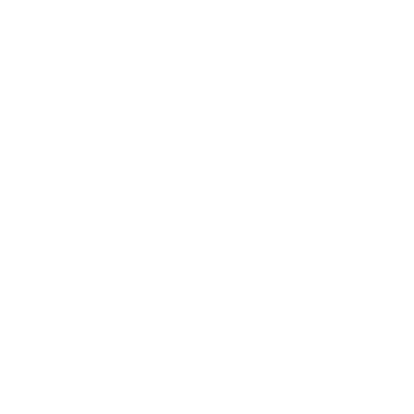 Beyşehir Vinç